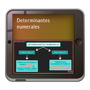 Imagen de apoyo de  Video Ref: 4 - Gramática: Determinantes numerales.